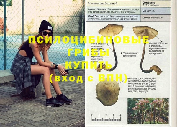 мдма Новокубанск