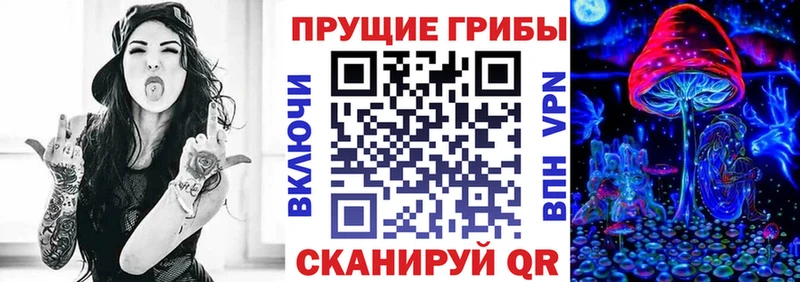 Псилоцибиновые грибы MAGIC MUSHROOMS  Новоалександровск 